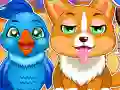Игра Ветеринар кој учи онлајн Игра Ветеринар кој учи онлајн