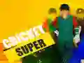 Игра Супер Крикет онлајн Игра Супер Крикет онлајн