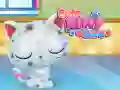 Игра Грижа за Слатки Мачиња онлајн Игра Грижа за Слатки Мачиња онлајн