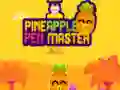 Игра Мајстор на ананасовата пенкало онлајн
