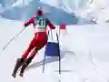 Игра Симулатор на слаломско скијање онлајн Игра Симулатор на слаломско скијање онлајн