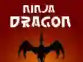 Игра Нинџа Дракон онлајн Игра Нинџа Дракон онлајн
