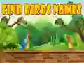 Игра Најдете имиња на птици онлајн Игра Најдете имиња на птици онлајн