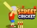 Игра Уличен Крикет онлајн