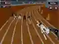 Игра Crazyl Dog Racing Fever онлајн Игра Crazyl Dog Racing Fever онлајн
