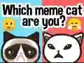Игра Кој си ти мем мачка? онлајн Игра Кој си ти мем мачка? онлајн