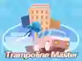 Игра Мајстор на trampolinn онлајн Игра Мајстор на trampolinn онлајн