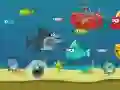 Игра Лудата ајкула онлајн Игра Лудата ајкула онлајн
