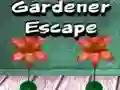 Игра Бегство на Градинарот онлајн