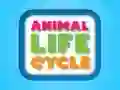 Игра Животен цикл на животни онлајн