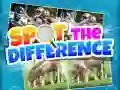 Игра Најди разлики онлајн