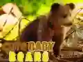 Игра Слатки Беби Медведи онлајн