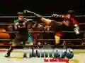 Игра Борци во Рингот онлајн