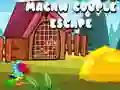 Игра Избивање на парот ара онлајн Игра Избивање на парот ара онлајн