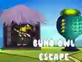 Игра Бегство на сова Buho онлајн Игра Бегство на сова Buho онлајн