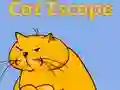 Игра Бег на мачката онлајн