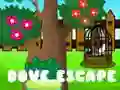 Игра Бегство на голубот онлајн Игра Бегство на голубот онлајн