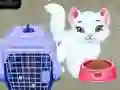 Игра Baby Taylor: Нега на домашни миленичиња онлајн