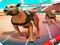 Игра Луда трка на кучиња онлајн Игра Луда трка на кучиња онлајн