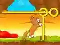 Игра Спаси мачето онлајн Игра Спаси мачето онлајн
