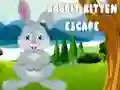 Игра Бегање на Зајак и Маче онлајн
