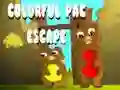 Игра Шарена Pac Убег онлајн