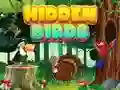 Игра Скриени птици онлајн Игра Скриени птици онлајн