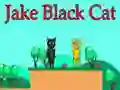 Игра Џејк Црна Мачка онлајн Игра Џејк Црна Мачка онлајн