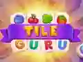 Игра Гуру на плочки онлајн Игра Гуру на плочки онлајн