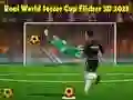 Игра Вистински Светски Куп во Фудбал Flicker 3D 2023 онлајн
