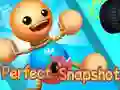 Игра Совршено Снимка онлајн