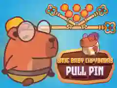 Игра Спаси беби капибара Pull Pin онлајн