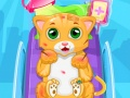 Игра Мали Кот Доктор онлајн