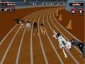 Игра Crazyl Dog Racing Fever  онлајн