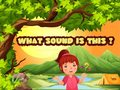 Игра Кој е овој звук? онлајн