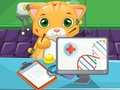 Игра Мачка Директор онлајн