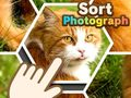 Игра Сортирање на фотографии онлајн