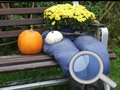Игра Есенска градина: Најдете 100 пеперуди онлајн