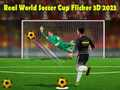 Игра Вистински Светски Куп во Фудбал Flicker 3D 2023 онлајн